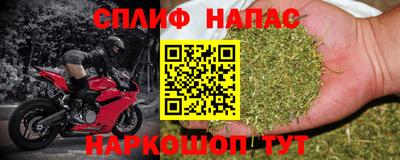 МДПВ Можга