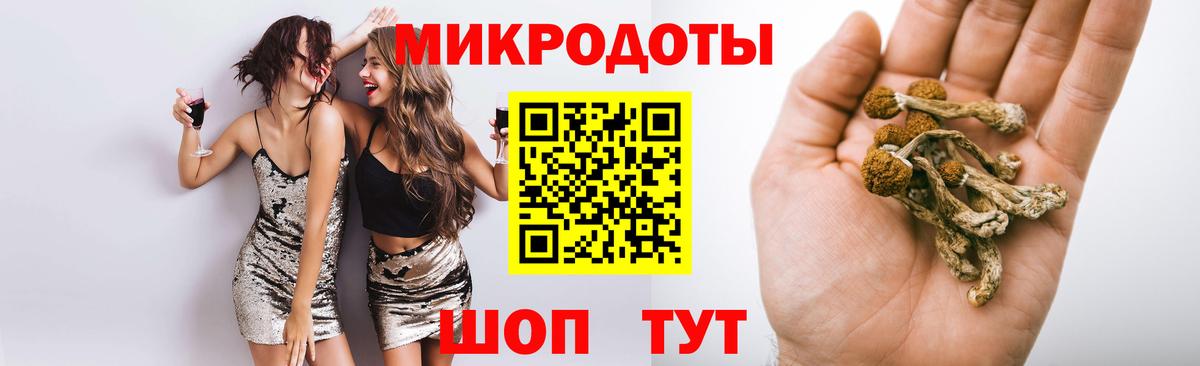 Псилоцибиновые грибы Psilocybine cubensis  Вход с VPN  Урюпинск 